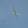DSC_4508 (800x531)